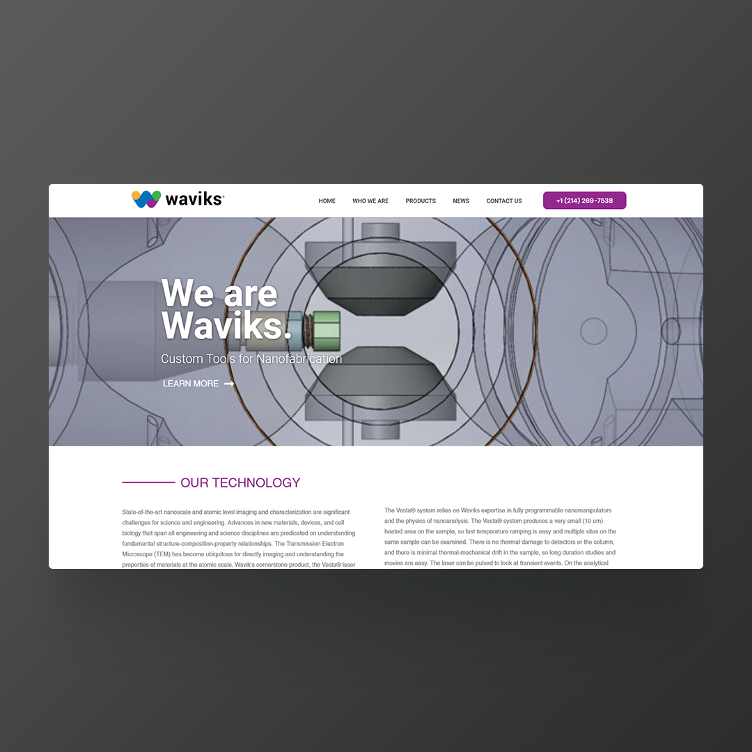 <span class="ttl">Waviks</span><br>Website / Graphics / Development